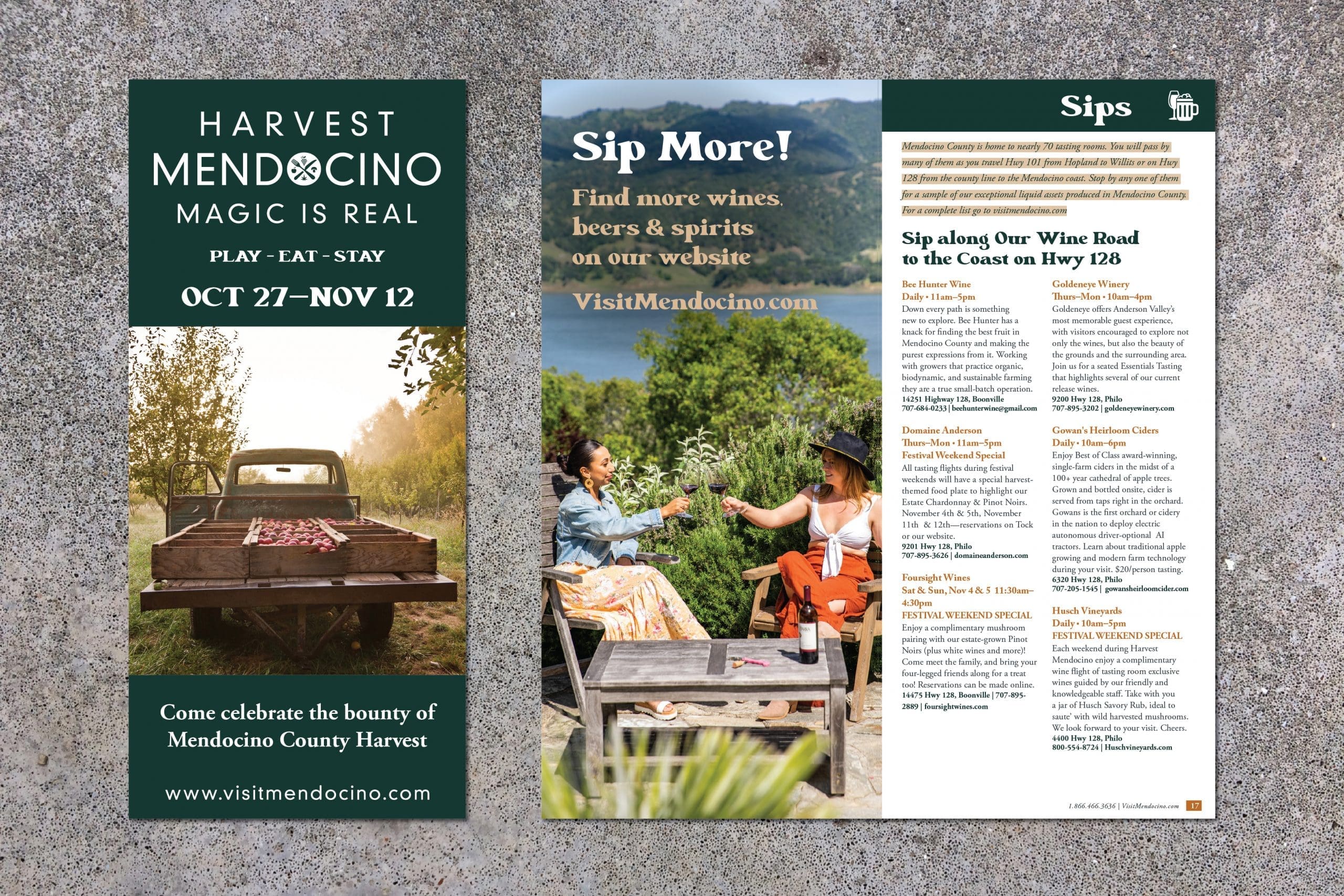 Visit Mendocino County Harvest Festival Brochure 2023